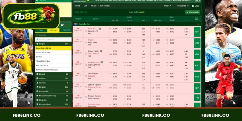 Khám phá hệ thống kèo nhà cái FB88